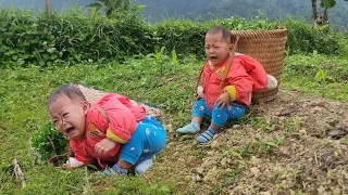 17-year-old single mother and her daughter harvest watercress to sell - build daily life