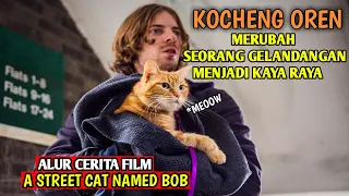 HADIAH DARI TUHAN UNTUK SEORANG GELANDANGAN || ALUR CERITA FILM A STREET CAT NAMED BOB