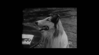 Lassie - Episode #13 - "Sale of Lassie" - Season 1, Ep. 13 - 12/05/1954