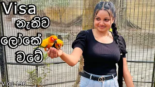 විනාඩි 10 න් ලෝකේ වටේ රවුමක් ♥️ | Water World Kelaniya | Bird Park | Underwater tunnel