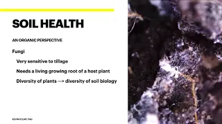 Soil Health and Cover Cropping