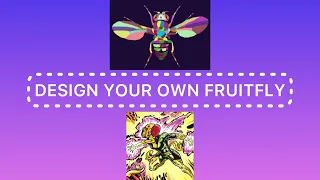 Design a fruitfly #genetics