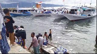 Prosess Bongkar Ikan Nelayan DI TPI Mamuju Sulawesi Barat
