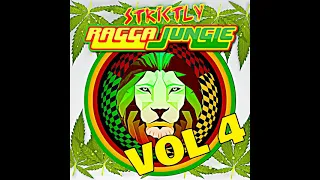 RAGGA JUNGLE IS MASSIVE VOL 4 MIXED BY DJ STP