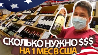 Сколько нужно денег на пропитание в Америке на 1 месяц ч1