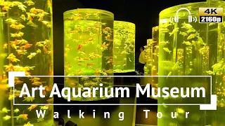 [4K/Binaural Audio] Art Aquarium Museum Walking Tour - Tokyo Japan