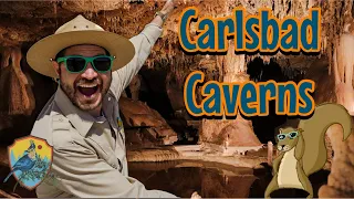 Visiting Carlsbad Caverns National Park | Educational Videos For Kids