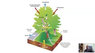 Urban Forestry