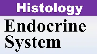 Chp20 Histology Inder Bir Singh | ENDOCRINE Glands Histology | Histology Lectures | Dr Asif Lectures