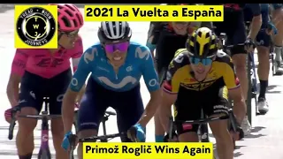 Primož Roglič Wins Again | 2021 Vuelta a España | Stage 11 | Uphill Sprint | Philipsen Abandons