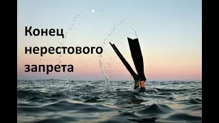 Подводная охота на ВДХР. Окончание нерестового запрета. Пособие для диванных генералов.