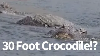 30 Foot Crocodile Seen in Philippines