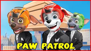 PAW Patrol Aqua Pups & Mermaid Rescues || Coffin Dance Remix (Cover)