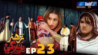 Zahar Zindagi - Ep 23 | Sindh TV Soap Serial | SindhTVHD Drama