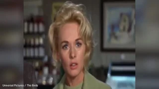 Tippi Hedren stars in Hitchcock's 1963 masterpiece The Birds