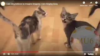 Cats Sing Believer by Imagine Dragons   Cats Singing= Song funny