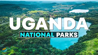 Top 10 Best National Parks in Uganda - Travel Video 2023