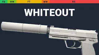 USP-S Whiteout - Skin Float And Wear Preview