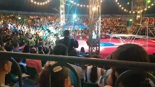 Circo Hermanos Gasca de México en Bucaramanga, Colombia - Payaso I. 🎪🎠🪄