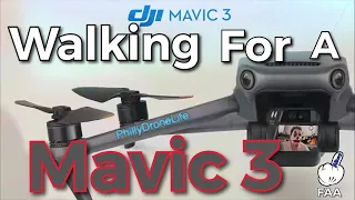 Mikey's walking for a Mavic