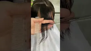 HairStyle