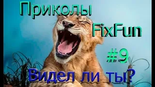 ПРИКОЛЫ 2018 , подборки приколов 2018 #9 best coub |FixFun