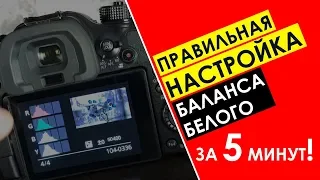 Быстрая настройка баланса белого на Panasonic Lumix GH4.