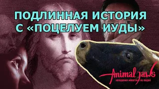 Подлинная история с фото «Поцелуй Иуды»