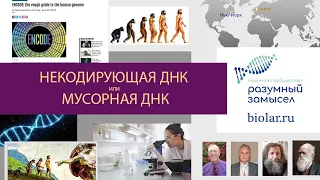 «Мусорная» ДНК, или как антропогенез и М. Гельфанд опозорились в битве с креационистами