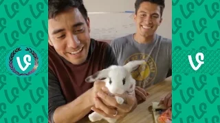 The Best Magic Tricks Of 2016 | NEW Best Zach King Magic Show Ever