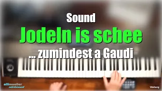 Pa1000/4X - Soundbeispiel "Jodeln is schee"  # 503