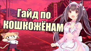 Как правильно общаться с кошкодевочками? | NEKOPARA