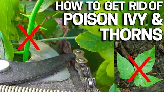 How to Get Rid of POISON IVY & THORNS without Chemicals