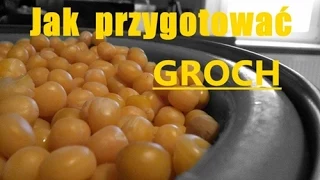 PORADNIK #1 Jak przygotować groch do łowienia...