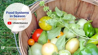 Food Systems in Season: Spring Vegetable Gardening