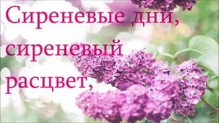 🌺 Сирень цветёт 🌺 Поздравить!