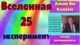 Вселенная 25. Эксперимент Джона Кэлхуна.