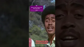 clip #1 from Jimi Hendrix Rainbow Bridge movie #history #jimihendrix #theatrical #1971 #cultclassic