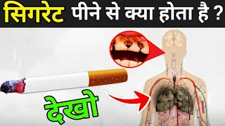 जानिए सिगरेट पीने से क्या होता है ? | How Cigarettes Affect Your Body