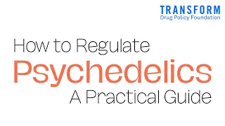 'How to Regulate Psychedelics: A Practical Guide' Launch | Transform Drug Policy Foundation