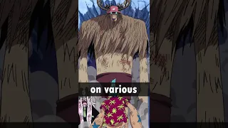 Every Straw Hat's Devil Fruit Explained!