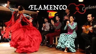 FLAMENCO EN MADRID