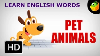 Pet Animals | Pre School | Learn English Words (Spelling) Video For Kids and Toddlers