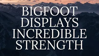 THE MOST EXTRAORDINARY FOOTAGE OF BIGFOOT | MBM 195