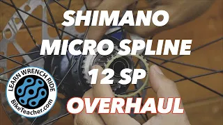 Shimano 12 speed Micro Spline Overhaul. This is a stock SLX hub.