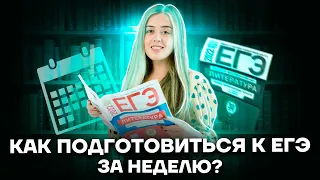 Как подготовиться к ЕГЭ по литературе за неделю? | Литература ЕГЭ 2022 | Умскул