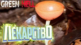 БОРЕМСЯ С ПАРАЗИТАМИ!!.. GREEN HELL