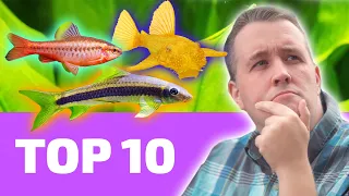 Top 10 EASY Fish That Every BEGINNER Needs