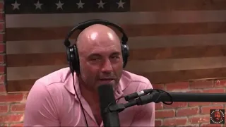 Joe Rogan   How Elon Musk s Mind Works 12