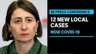 IN FULL: NSW records 29 new COVID infections as cases emerge outside inner Sydney | ABC News